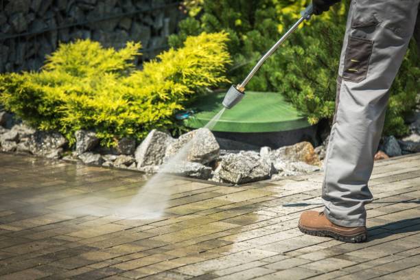 Trusted Town Creek, AL Pressure Washing Experts