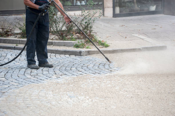 Animal Enclosure Cleaning in Town Creek, AL